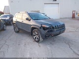 Jeep Cherokee Trailhawk 1C4PJMBBXFW693893 снимка