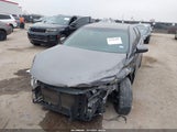 Miniaturka zdjęcia 2