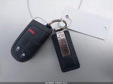 Miniaturka zdjęcia 11