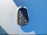 Miniaturka zdjęcia 11