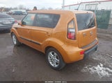 Miniaturka zdjęcia 3