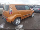 Miniaturka zdjęcia 4