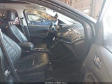 Miniaturka zdjęcia 5