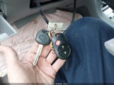Miniaturka zdjęcia 11