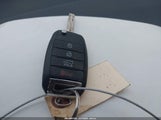Miniaturka zdjęcia 11