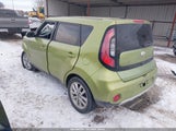 Miniaturka zdjęcia 3