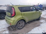 Miniaturka zdjęcia 4