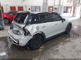 Miniaturka zdjęcia 4