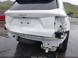 Miniaturka zdjęcia 6