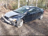 Miniaturka zdjęcia 2