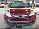 Miniaturka zdjęcia 6