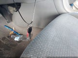 Miniaturka zdjęcia 11