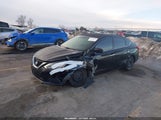 Miniaturka zdjęcia 2