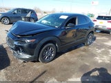 Miniaturka zdjęcia 2