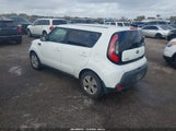 Miniaturka zdjęcia 3