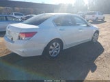 Honda Accord 3.5 Ex-L 1HGCP368X8A038981 fotografie