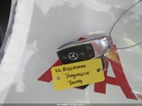Miniaturka zdjęcia 11