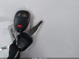 Miniaturka zdjęcia 11