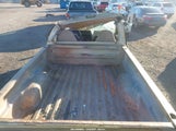 Miniaturka zdjęcia 8