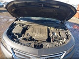 Miniaturka zdjęcia 10