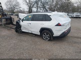 Miniaturka zdjęcia 3
