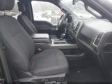 Ford F-150 Xlt 1FTEW1EG8GFD09450 снимка