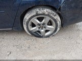 Miniaturka zdjęcia 6