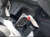 Miniaturka zdjęcia 11