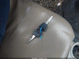 Miniaturka zdjęcia 11