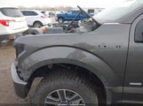 Ford F-150 Xlt 1FTEW1EP8GKF99292 снимка