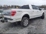 Ford F-150 Platinum 1FTFW1EF9DFA34162 снимка