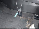 Miniaturka zdjęcia 11