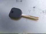 Miniaturka zdjęcia 11