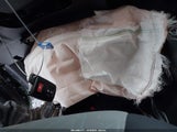 Miniaturka zdjęcia 11