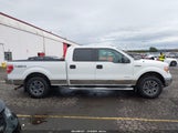 Ford F-150 Xlt 1FTFW1ET8BFB48964 снимка