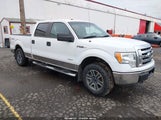 Ford F-150 Xlt 1FTFW1ET8BFB48964 снимка