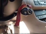 Miniaturka zdjęcia 11