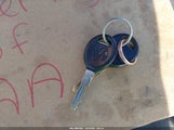 Miniaturka zdjęcia 11