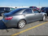 Toyota Camry Xle 4T4BE46K29R076546 photo