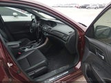 Honda Accord Sport 1HGCR2F54GA240241 fotografie