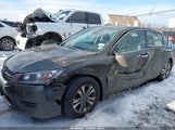 Honda Accord Lx 1HGCR2F34DA065502 снимка