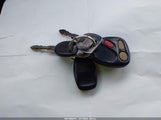 Miniaturka zdjęcia 11