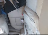 Miniaturka zdjęcia 8