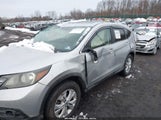 Miniaturka zdjęcia 6