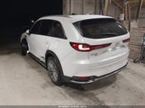 Miniaturka zdjęcia 3