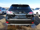 Miniaturka zdjęcia 6