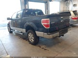 Ford F-150 Xlt 1FTFW1ET9EKD00908 снимка