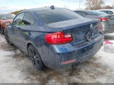 BMW 228I xDrive WBA1G9C57GVX97157 снимка
