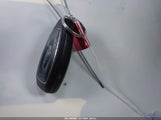 Miniaturka zdjęcia 11