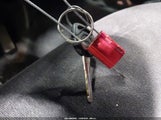 Miniaturka zdjęcia 11